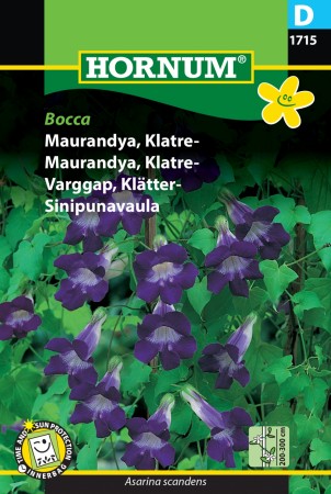 Maurandya, Klatre- 'Bocca' (Asarina scandens)