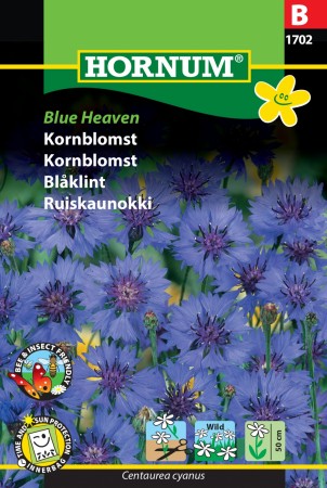 Kornblomst 'Blue Heaven' (Centaurea cyanus)