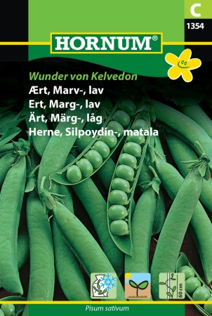 Ert, Marg-, lav 'Wunder von Kelvedon' (Pisum sativum)