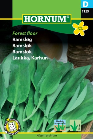 Ramsløk 'Forest floor' (Allium ursinum)