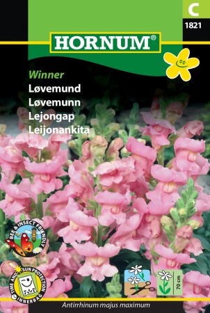 Løvemunn 'Winner' (Antirrhinum majus maximum)