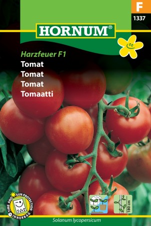 Tomat 'Gemini/Harzfeuer F1' (Lycopersicon esculentum L.)