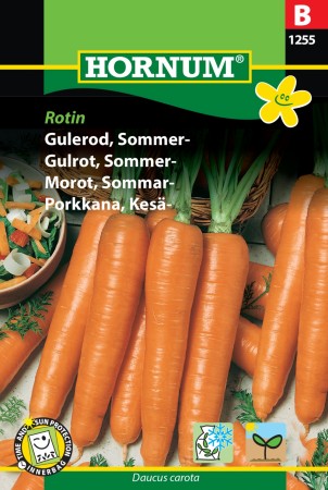 Gulrot, Sommer- 'Rotin' (Daucus carota)