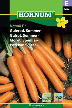Gulrot, Sommer- 'Laguna F1 Hybride' (Daucus carota)