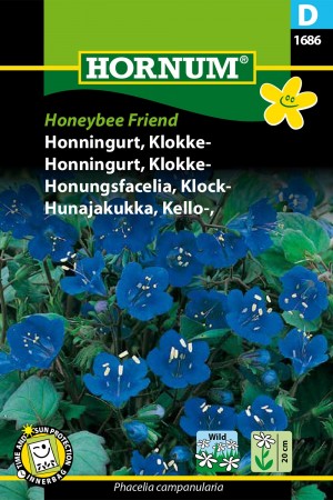 Honningurt, Klokke- 'Honeybee Friend' (Phacelia campanularia)