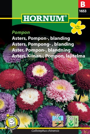 Asters, Pompong- , blanding 'Pompon' (Callistephus chinensis)