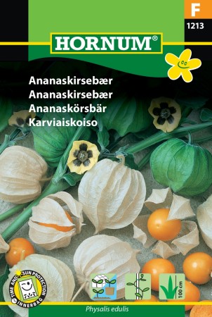 Ananaskirsebær '' (Physalis edulis)