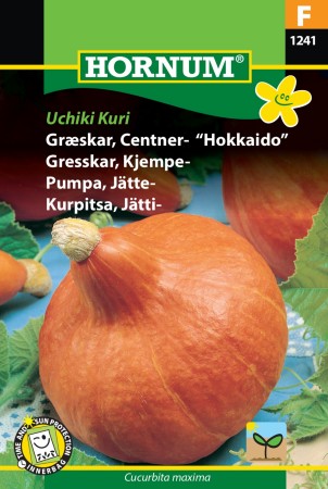 Gresskar, Kjempe- 'Uchiki Kuri' (Cucurbita maxima)