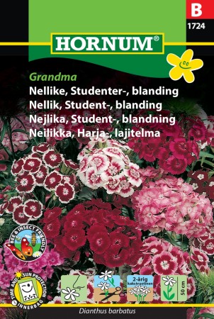Nellik, Student-, blanding 'Grandma' (Dianthus barbatus)