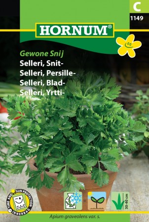 Selleri, Persille- 'Gewone Snij' (Apium graveolens var. s.)