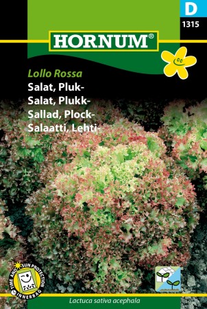 Salat, Plukk- 'Lollo Rossa' (Lactuca sativa acephala)