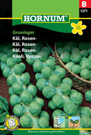 Kål, Rosen- 'Groninger' (Brassica oleracea gemmifera)