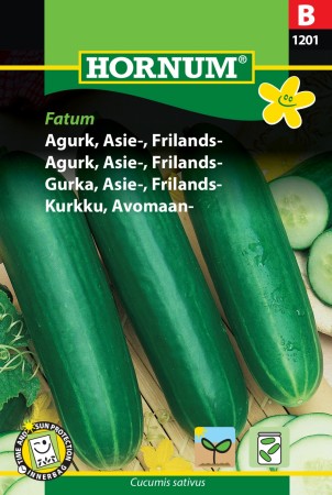 Agurk, Asie-, Frilands- 'Fatum' (Cucumis sativus)