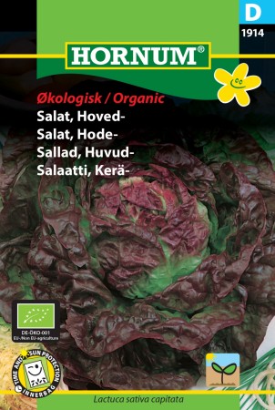 Salat, Hode- 'Merveille des quatre saisons' (Lactuca sativa capitata)