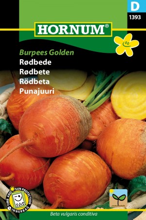 Rødbete 'Burpees Golden' (Beta vulgaris conditiva)