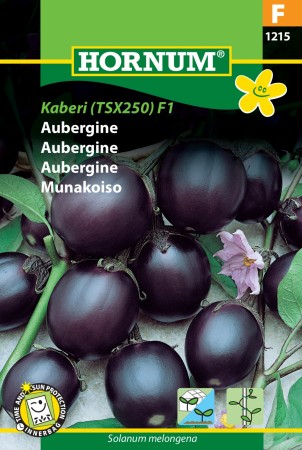 Aubergine 'Kaberi (TSX 25) F1' (Solanum melongena)
