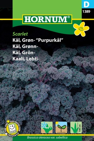 Kål, Grønn- 'Scarlet' (Brassica oleracea var. sabellica)