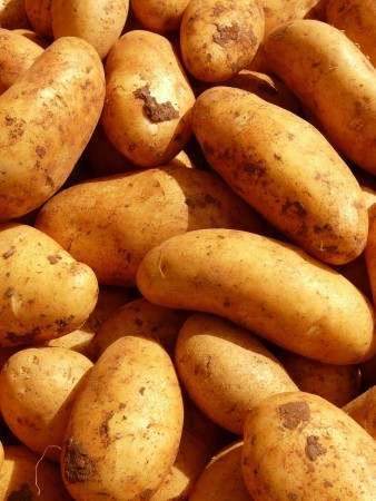 Settepotet 'Mandel'  1kg