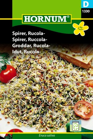 Spirer, Ruccola- '' (Eruca sativa)