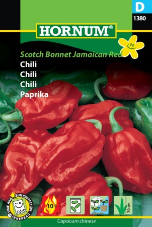 Chili 'Scotch Bonnet Jamaican Red' (Capsicum chinese)