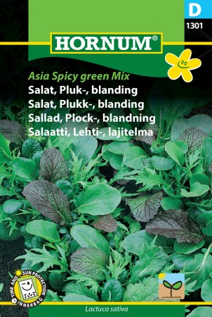 Salat, Plukk-, blanding 'Asia Spicy green Mix' (Lactuca sativa)