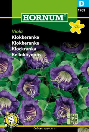 Klokkeranke 'Viola' (Cobaea scandens)