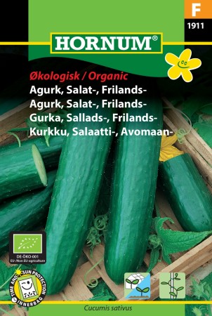 Agurk, Salat-, Frilands- 'Sonja' (Cucumis sativus)