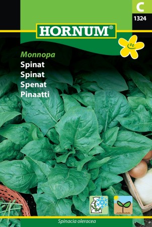 Spinat 'Monnopa' (Spinacia oleracea)