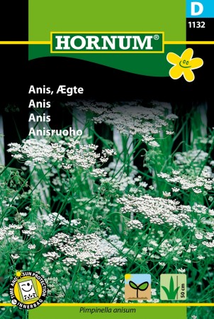 Anis '' (Pimpinella anisum)