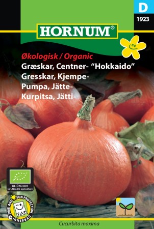 Gresskar, Kjempe- 'Uchiki Kuri' (Cucurbita maxima)