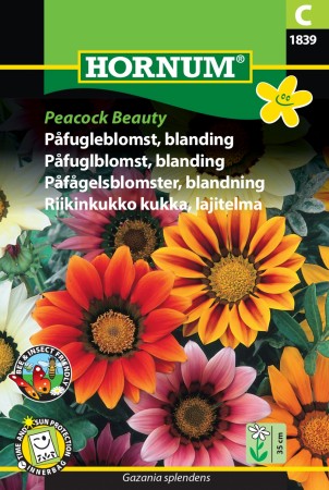 Påfuglblomst, blanding 'Peacock Beauty' (Gazania splendens)