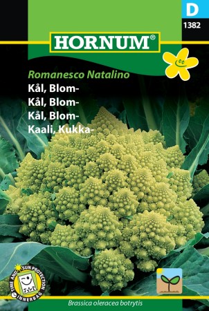 Kål, Blom- 'Romanesco Natalino' (Brassica oleracea botrytis)
