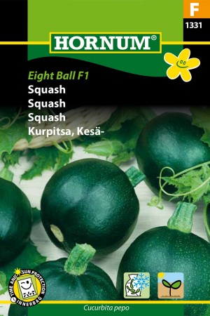 Squash 'Eight Ball F1' (Cucurbita pepo)