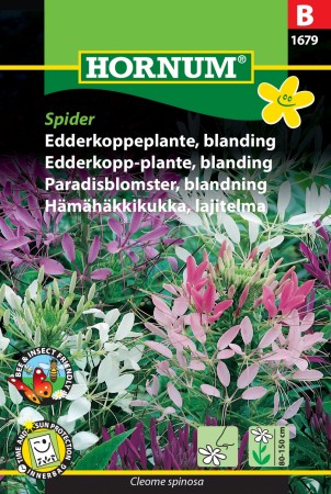 Edderkopp-plante, blanding 'Spider' (Cleome spinosa)
