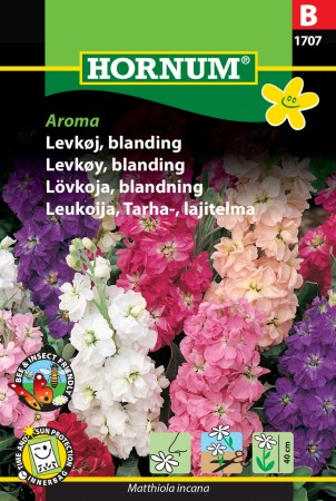 Levkøy, blanding 'Aroma' (Matthiola incana)