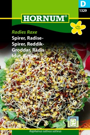 Spirer, Reddik- 'Radies Raxe' (Raphanus sativus sativus)