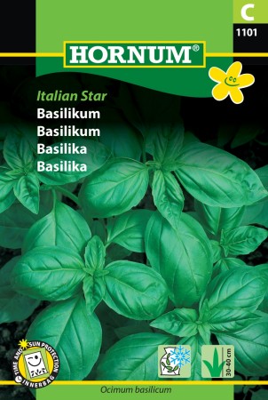 Basilikum 'Italian Star' (Ocimum basilicum)