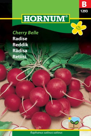 Reddik 'Cherry Belle' (Raphanus sativus sativus)