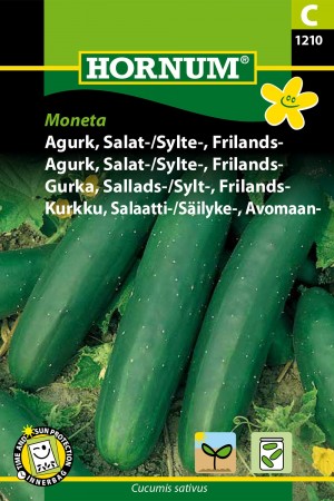 Agurk, Salat-/Sylte-, Frilands- 'Moneta' (Cucumis sativus)