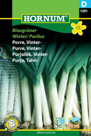 Purre, Vinter- 'Blaugrüner Winter / Porilux' (Allium porrum)