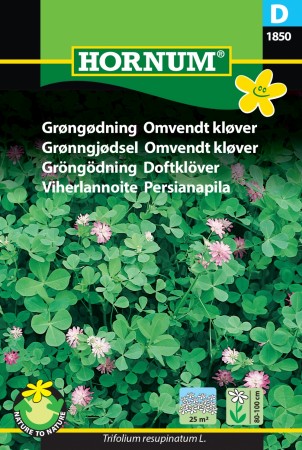 Grønngjødsel Omvendt kløver '' (Trifolium resupinatum L.)