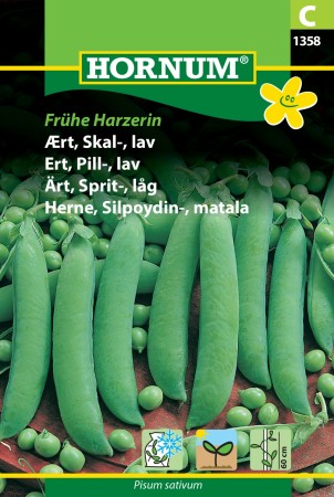 Ert, Pill-, lav 'Frühe Harzerin' (Pisum sativum)