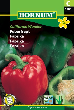 Paprika 'California Wonder' (Capsicum annuum)