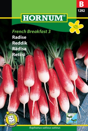 Reddik 'French Breakfast 3' (Raphanus sativus sativus)