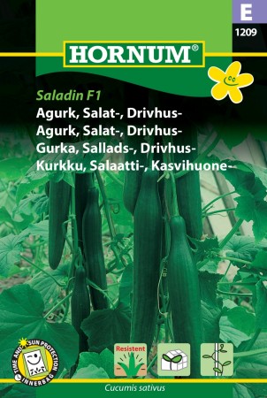 Agurk, Salat-, Drivhus- 'Saladin F1' (Cucumis sativus)