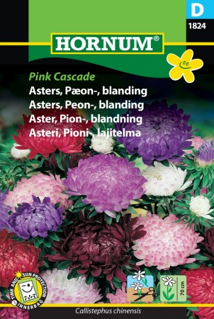 Asters, Peon-, blanding 'Pink Cascade' (Callistephus chinensis)