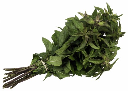 Mynte 'Moroccan ' (Mentha Spicata) 1 stk plante i potte