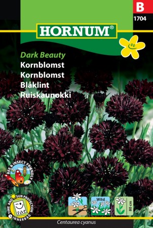 Kornblomst 'Dark Beauty' (Centaurea cyanus)