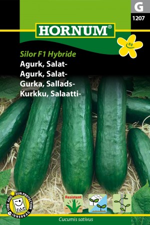 Agurk, Salat- 'Silor F1 Hybride' (Cucumis sativus)