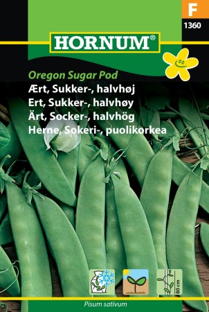 Ert, Sukker-, halvhøy 'Oregon Sugar Pod' (Pisum sativum)